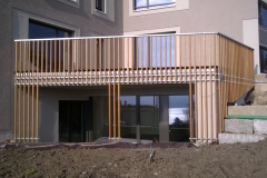 3 MFH Männedorf
